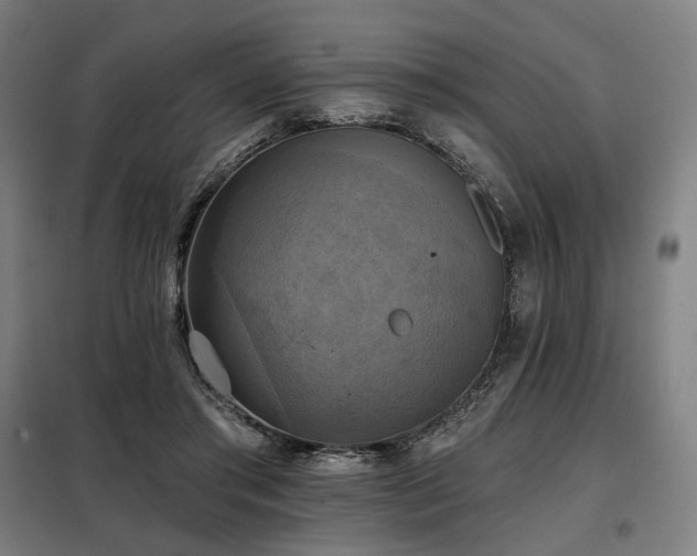 X0000098110405200804041349