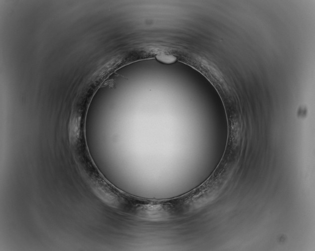 X0000098110406200804041349