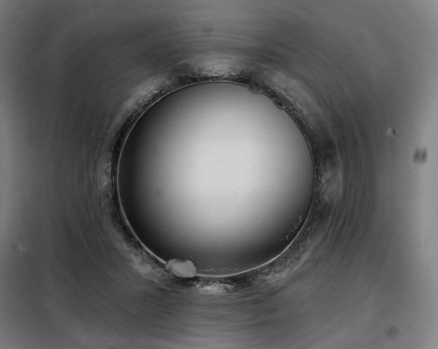 X0000098110407200804041349