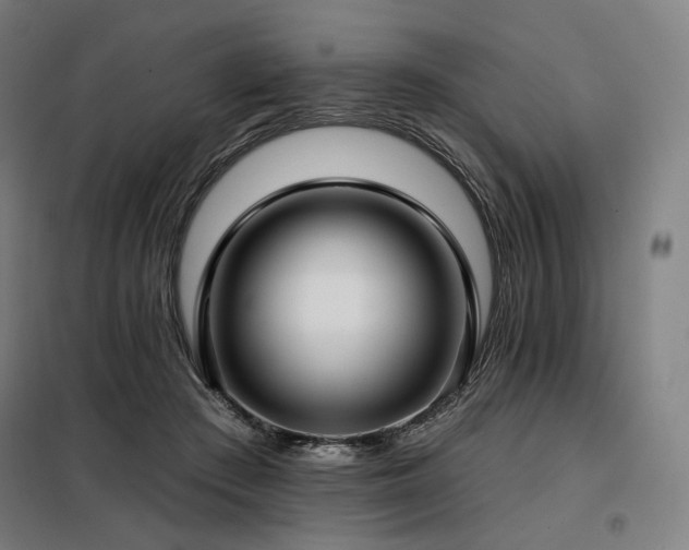X0000098110409200804041349