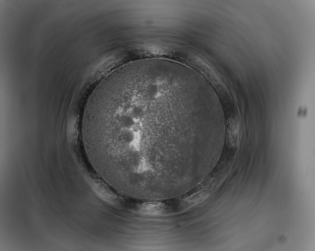 X0000098110410200804041349