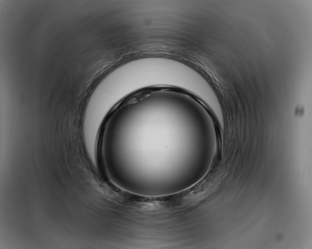 X0000098110411200804041349