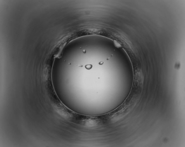X0000098110412200804041349