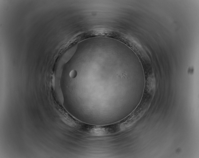 X0000098110413200804041349