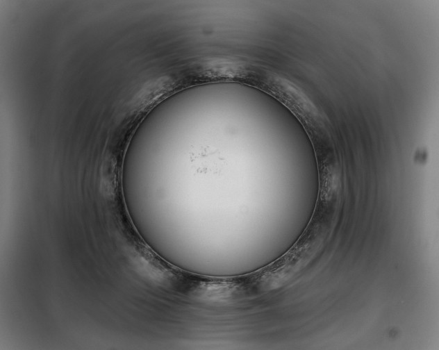 X0000098110414200804041349
