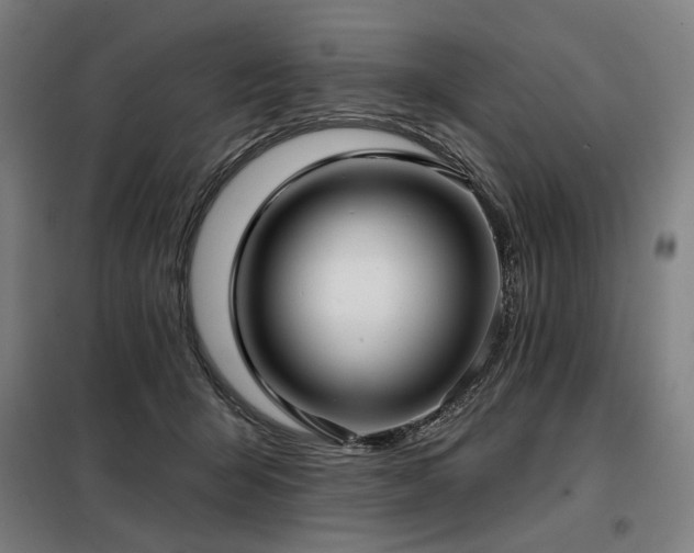 X0000098110415200804041349