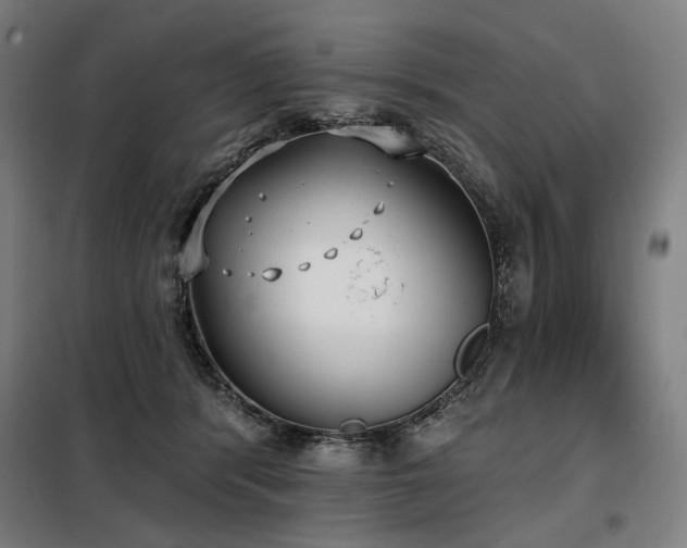 X0000098110416200804041349