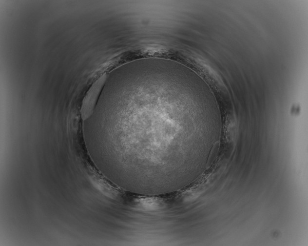X0000098110417200804041349