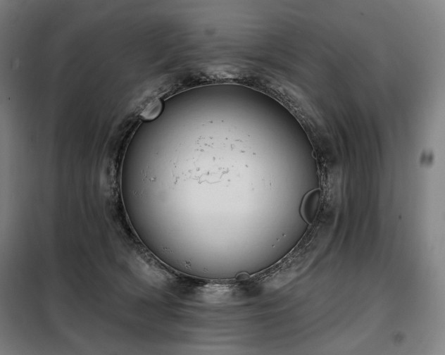 X0000098110418200804041348