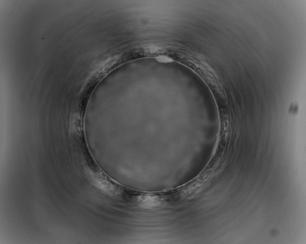 X0000098110419200804041348