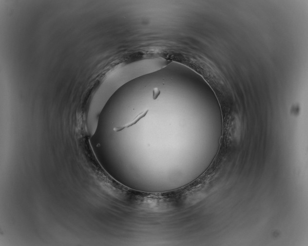X0000098110420200804041348