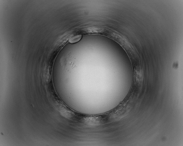 X0000098110422200804041348