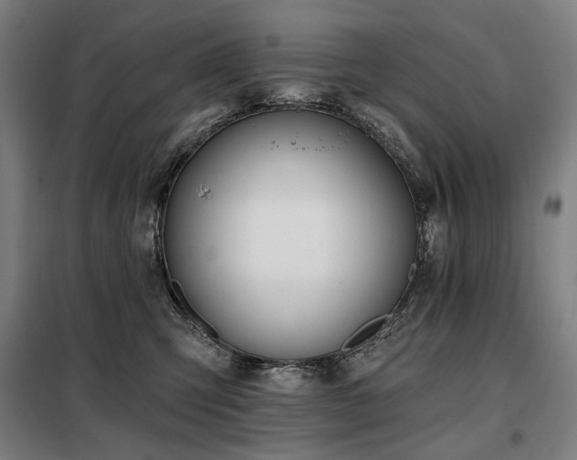 X0000098110423200804041348