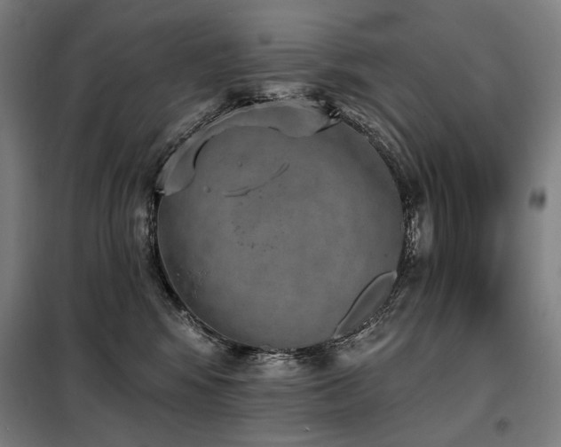 X0000098110424200804041348