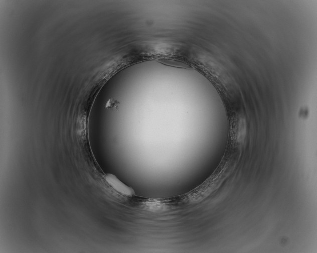 X0000098110425200804041348