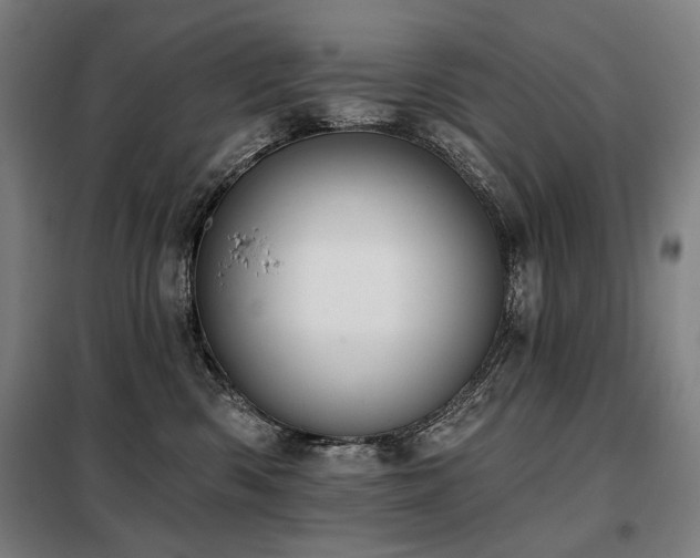 X0000098110426200804041348