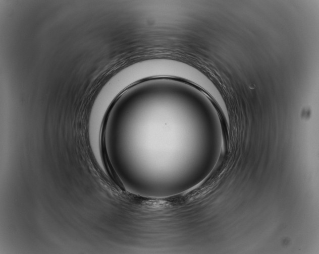 X0000098110427200804041348