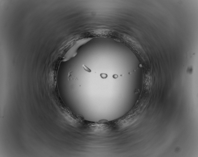 X0000098110428200804041348
