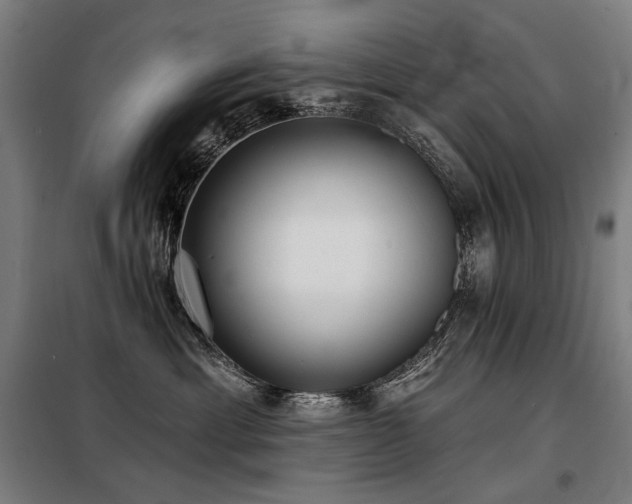 X0000098110429200804041348