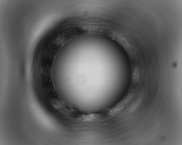 X0000098110430200804041348