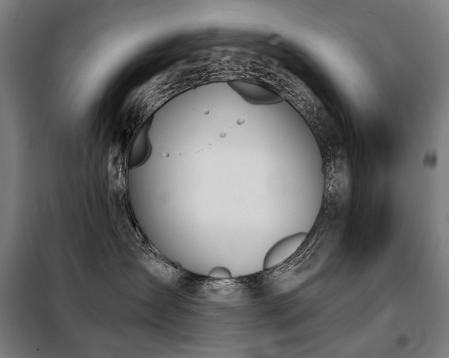 X0000098110431200804041348