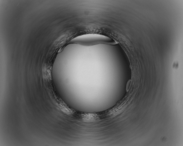 X0000098110432200804041348