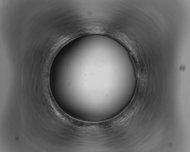 X0000098110433200804041348