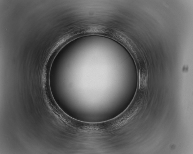 X0000098110435200804041348