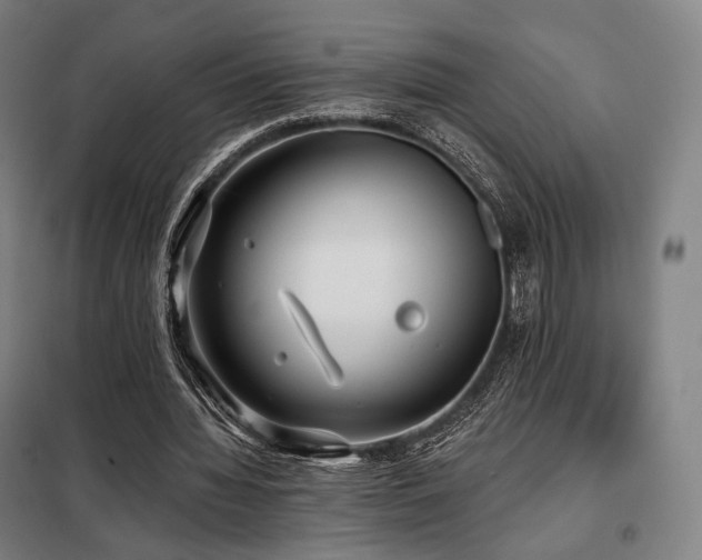 X0000098110436200804041348