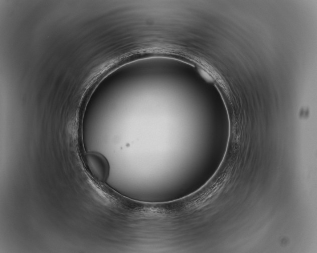 X0000098110437200804041348
