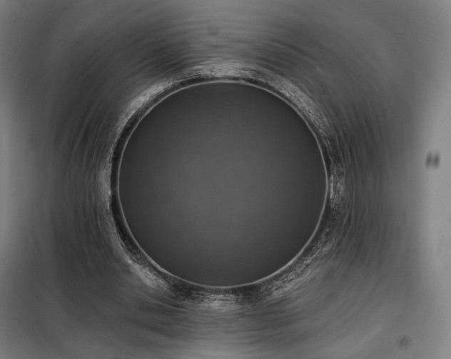 X0000098110438200804041348