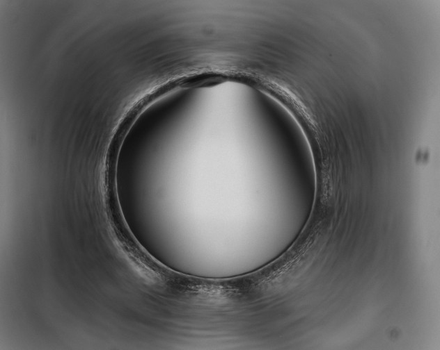 X0000098110439200804041348