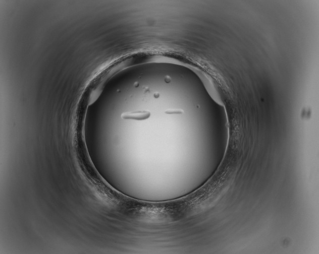 X0000098110440200804041348