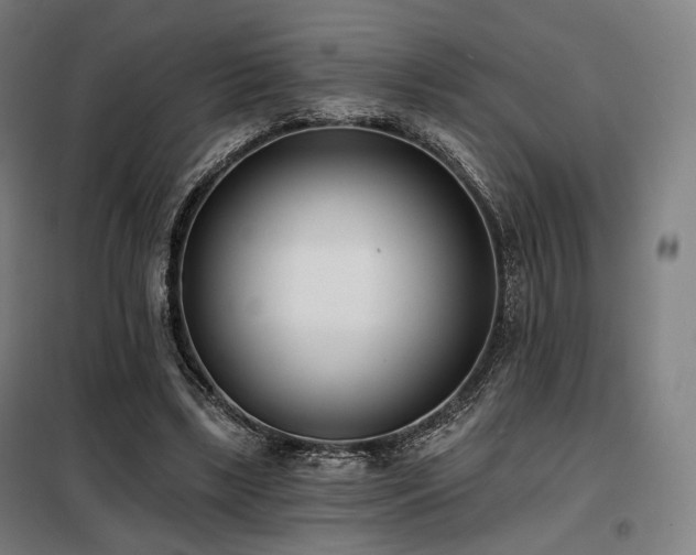 X0000098110443200804041348