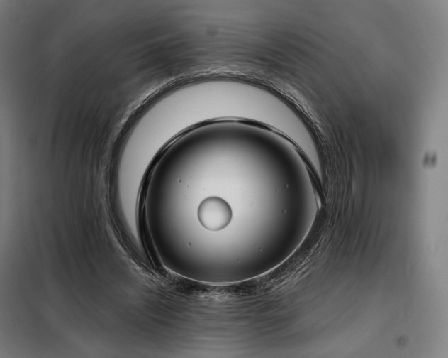 X0000098110444200804041348