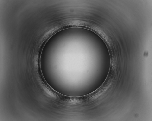 X0000098110445200804041348