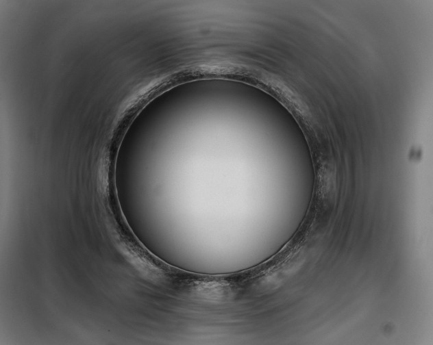 X0000098110446200804041348