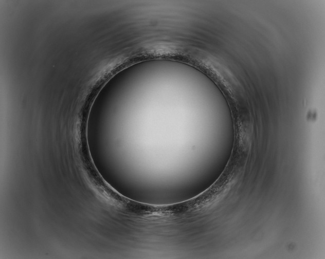 X0000098110447200804041348