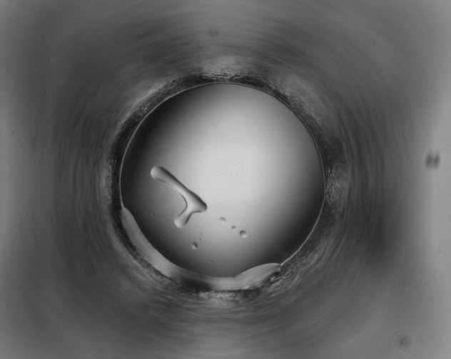 X0000098110448200804041348
