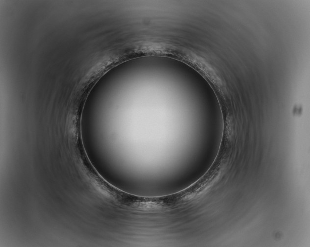 X0000098110449200804041348