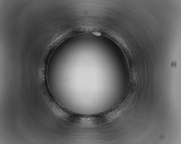 X0000098110450200804041348