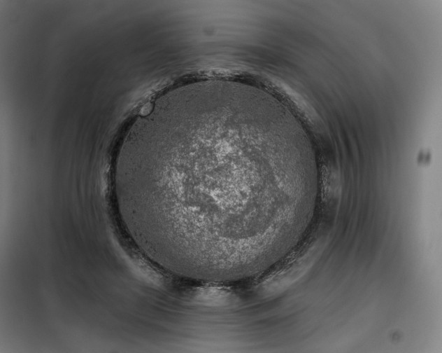 X0000098110451200804041348