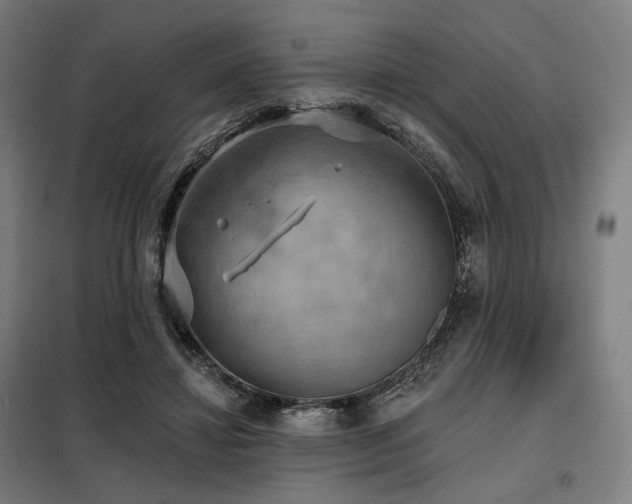X0000098110452200804041348