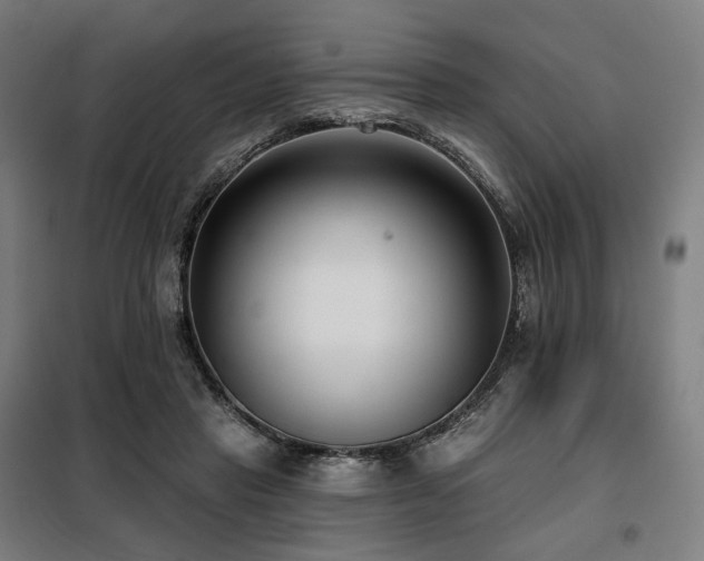 X0000098110453200804041348