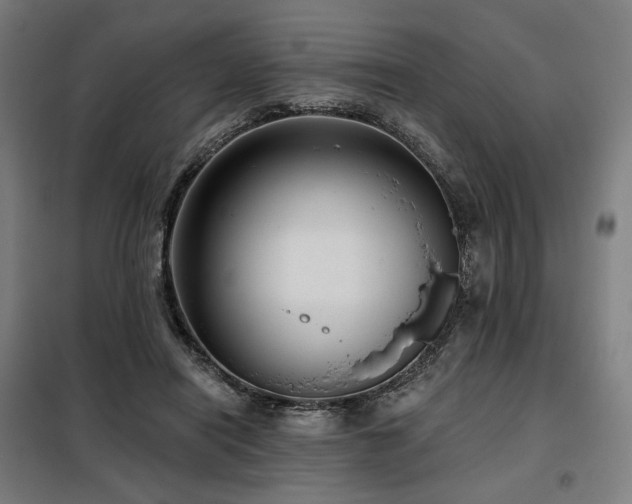 X0000098110454200804041348