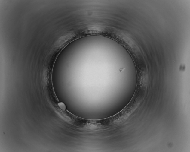 X0000098110455200804041348