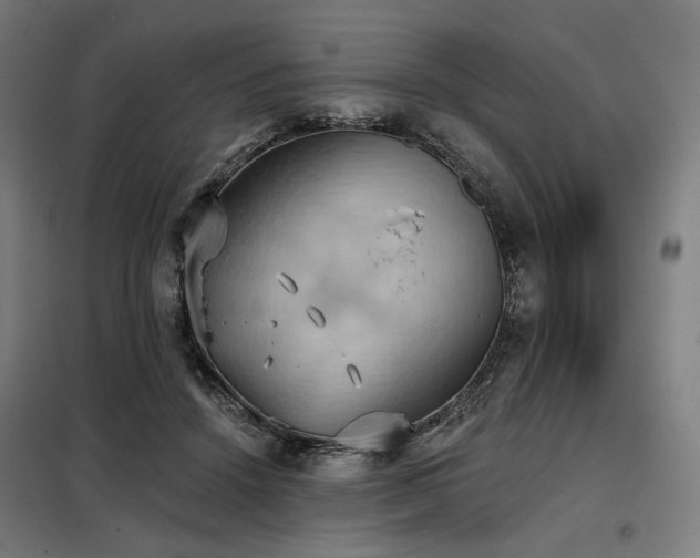 X0000098110456200804041348