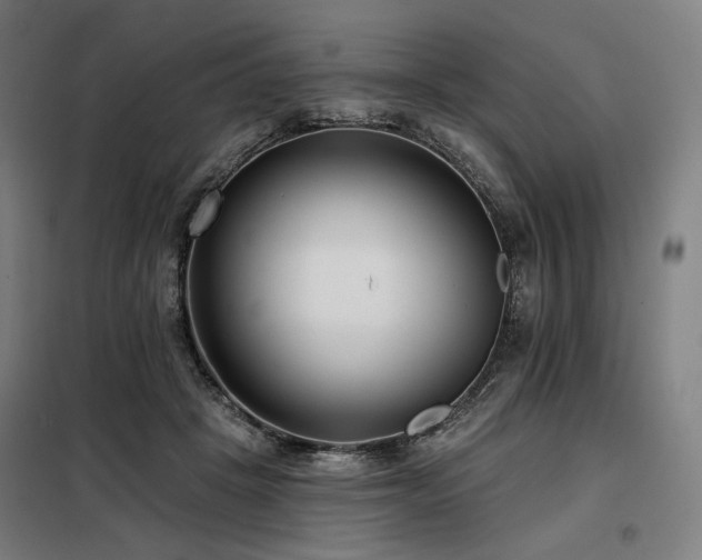 X0000098110457200804041348