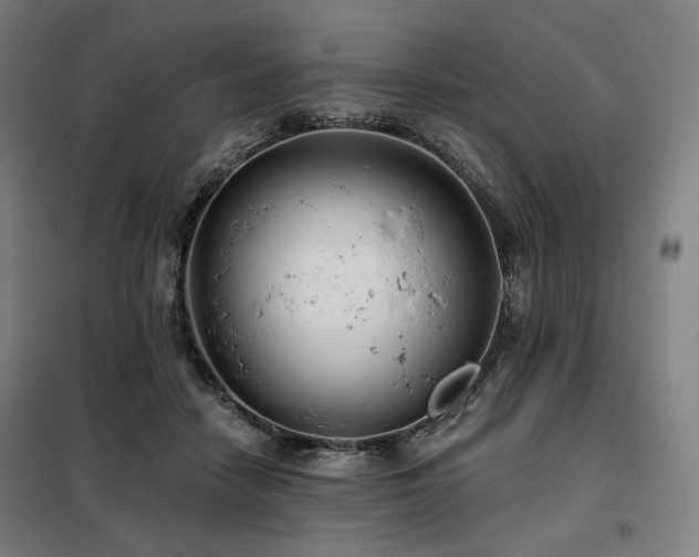 X0000098110458200804041348