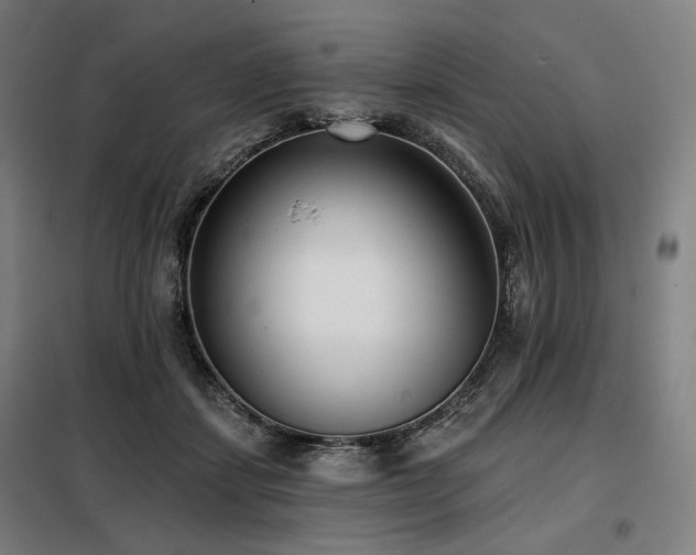 X0000098110459200804041348